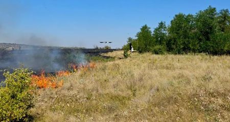 Из-за жары на Днепропетровщине возросло количество пожаров в экосистемах (ФОТО)
