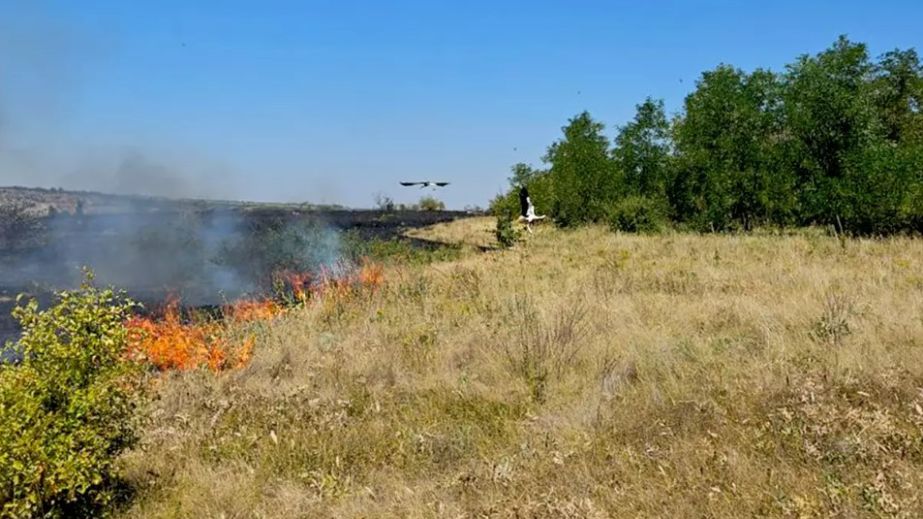 Из-за жары на Днепропетровщине возросло количество пожаров в экосистемах (ФОТО)