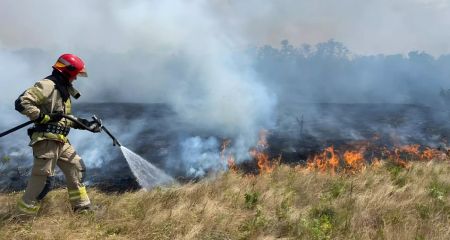 За сутки в Днепропетровской области ликвидировали более 70 пожаров в экосистемах
