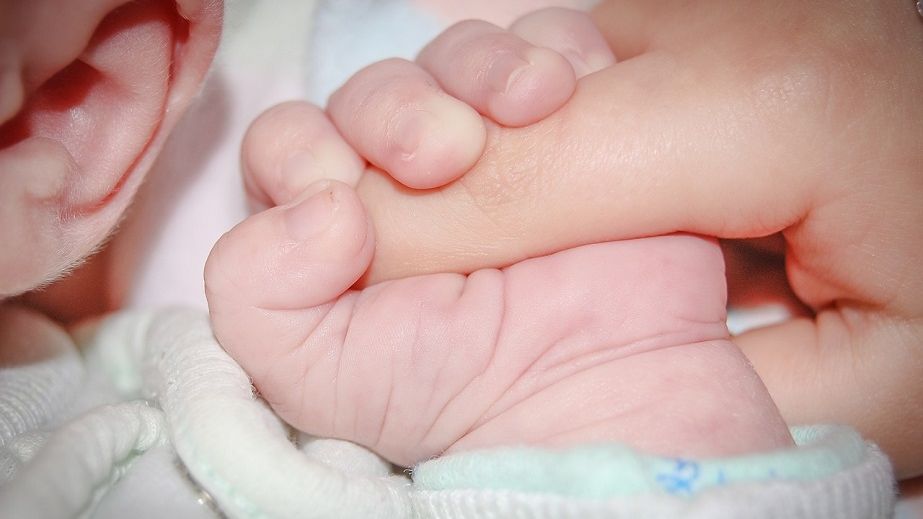 У Дніпрі за добу народжуваність трохи знизилася