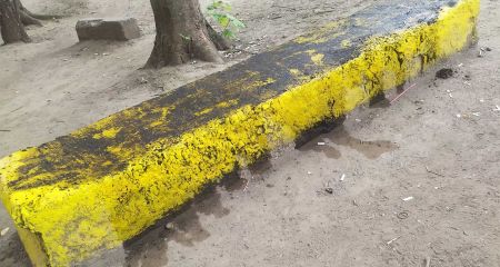 У Дніпрі невідомі облили мастилом територію біля кав'ярні (ФОТО)