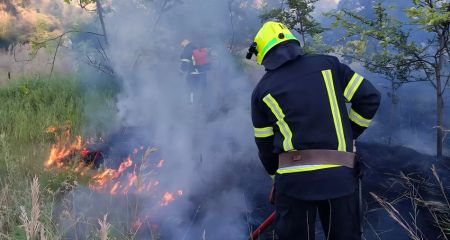 В Днепропетровской области за сутки ликвидировали более 40 пожаров в экосистемах