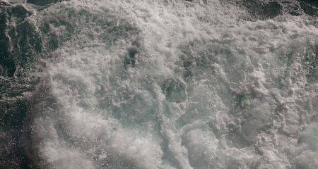 В пригороде Днепра в водоеме заметили пену неизвестного происхождения (ВИДЕО)