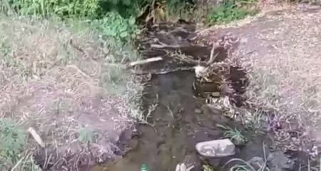 У Кривому Розі вода з каналізації активно наповнює річку Саксагань (ВІДЕО)