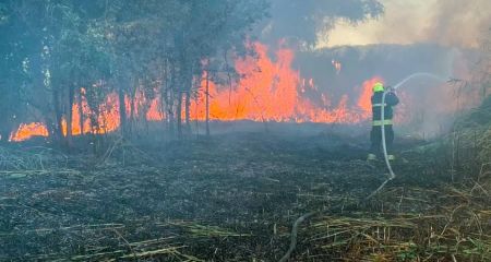 За добу вогнеборці здійснили понад 100 виїздів для гасіння пожеж в екосистемах Дніпропетровщини