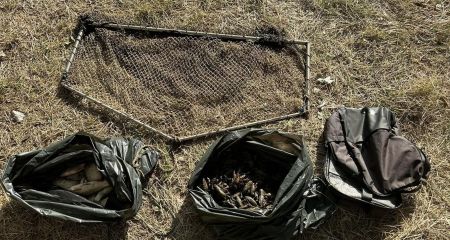 На Днепропетровщине браконьеры наловили раков и рыбы более чем на полмиллиона гривен