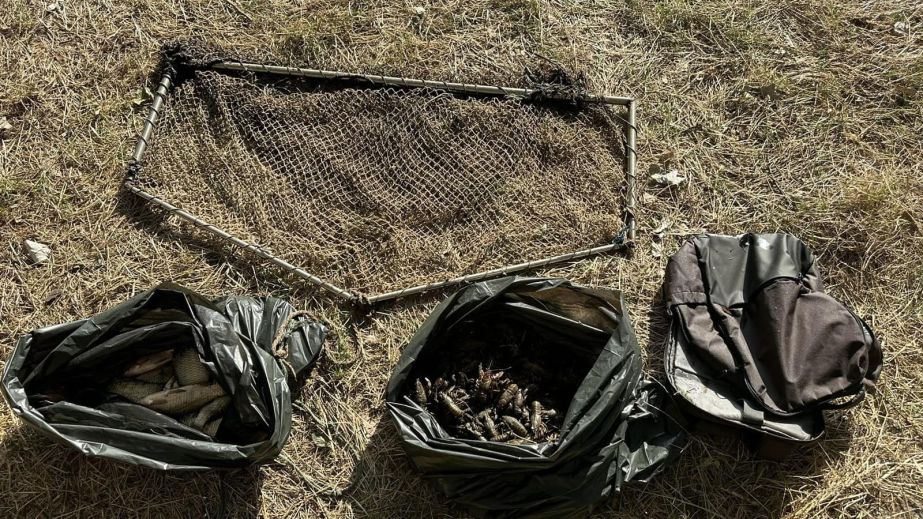 На Дніпропетровщині браконьєри наловили раків та риби на понад пів мільйона гривень