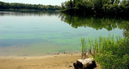 В Днепровском районе нашли оружие в водоеме