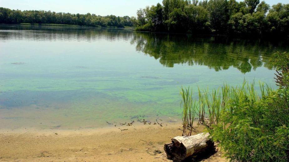У Дніпровському районі знайшли зброю у водоймі