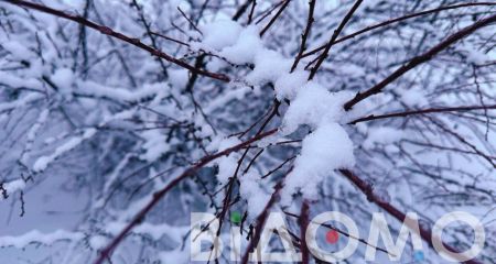 Хуртовина, ожеледиця та пориви вітру: якою буде погода у Дніпрі та області 11 січня
