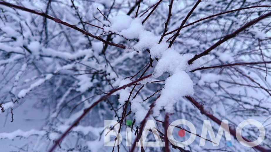 Вьюга, гололед и порывы ветра: какой будет погода в Днепре и области 11 января