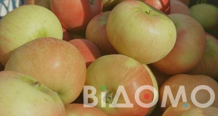 Яблочный Спас: сколько стоят в Кривом Роге яблоки на рынках и в супермаркетах (ФОТО, ВИДЕО)