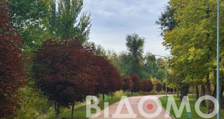 Якою буде погода у Дніпрі та області 19 жовтня