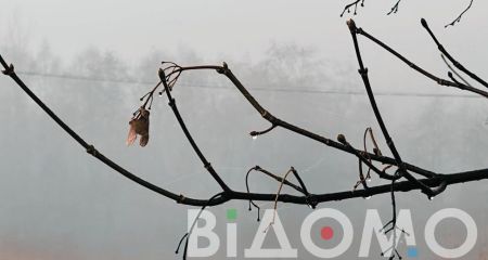 Туман та ожеледиця: якою буде погода у Дніпрі та області 11 грудня