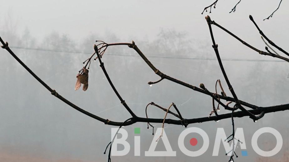 Туман и гололед: какой будет погода в Днепре и области 11 декабря