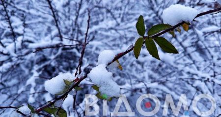 Вьюга и порывы ветра: какой будет погода в Днепре и области 28 декабря