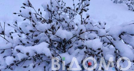 Вьюга и гололед: какой будет погода в Днепре и области 29 декабря