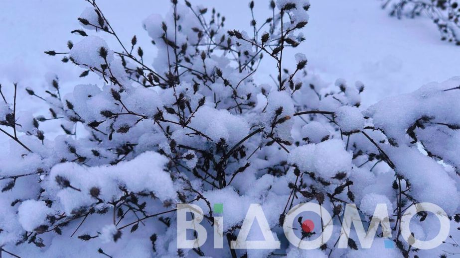 Хуртовина та ожеледиця: якою буде погода у Дніпрі та області 29 грудня