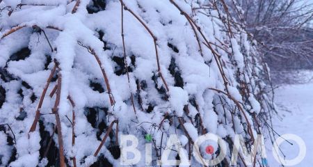 Снег и гололед: какой будет погода в Днепре и области 30 декабря