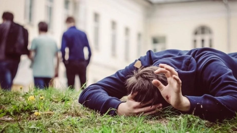 У Криничках компанія підлітків жорстоко побила двох братів та тероризує інших мешканців (ФОТО, ВІДЕО)