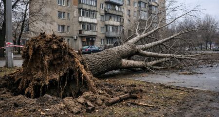 Вітер зніс зупинку т...