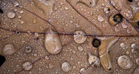 Дождь на целый день: погода в Днепре и области 19 ноября