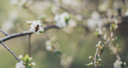 Невеликий дощ та гроза: якою буде погода у Дніпрі та області 4 квітня