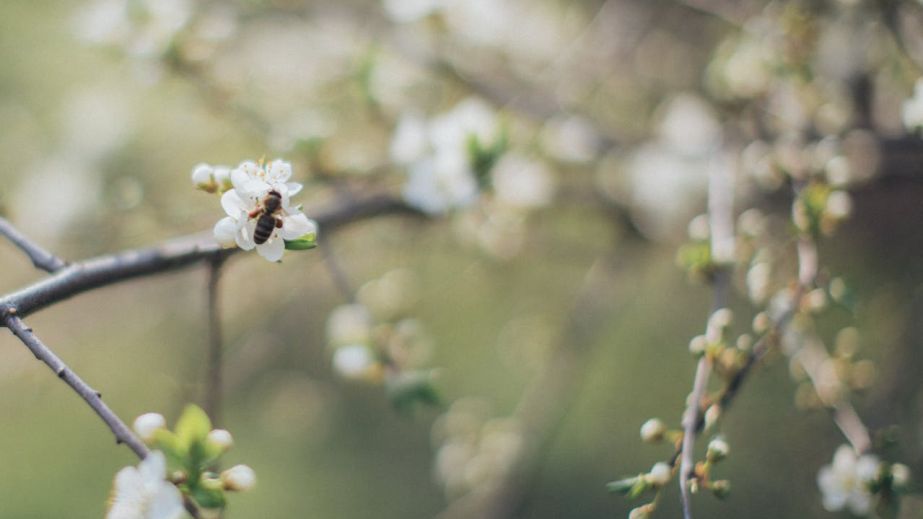 Якою буде погода у Дніпрі та області 14 квітня