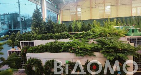 Купить елку за 15 тысяч: во сколько днепрянам обойдется новогоднее дерево и что предлагают в городе
