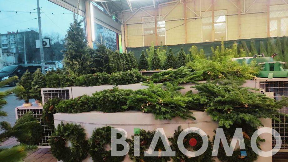 Купить елку за 15 тысяч: во сколько днепрянам обойдется новогоднее дерево и что предлагают в городе