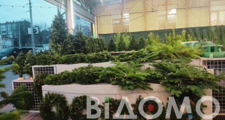 Гори спиляних дерев: в одному з районів Дніпра торгівці покинули не розпродані ялинки (ФОТО)