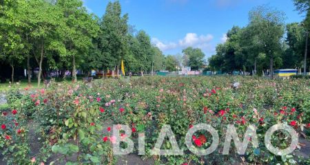 У парку Глоби у Дніпрі розцвів найбільший розарій у місті (ФОТО, ВІДЕО)