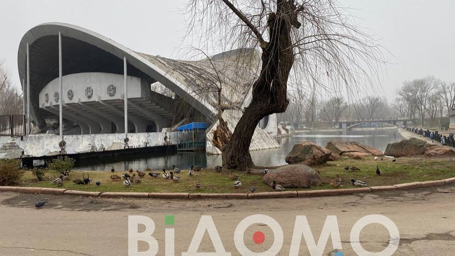 У Дніпрі у парку Глоби на підтоплених тротуарах плавають качки (ВІДЕО)