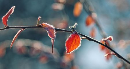 Якою буде погода у Дніпрі та області 5 грудня