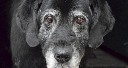 У Дніпрі на лівому б...