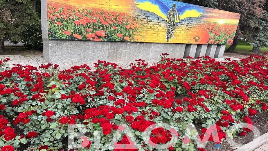 Как в Павлограде выглядит место тысячи роз (ФОТО, ВИДЕО)