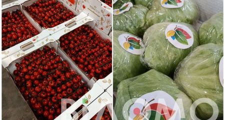 Огірки з Фінляндії, помідори з Марокко і Сенегалу, мандарини з ПАР. Як виживають цієї зими овочебази Дніпра (ФОТО)