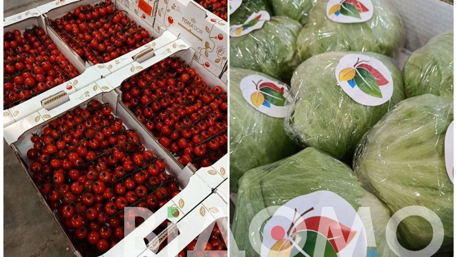 Огірки з Фінляндії, помідори з Марокко і Сенегалу, мандарини з ПАР. Як виживають цієї зими овочебази Дніпра (ФОТО)