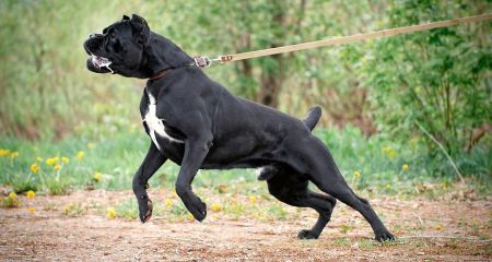 У селі на Дніпропетр...