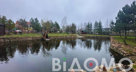 Лебедю, которого раненым нашли на территории предприятия в Кривом Роге, нашли приют (ВИДЕО)