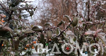 Дощ та мокрий сніг: якою буде погода у Дніпрі та області 7 лютого