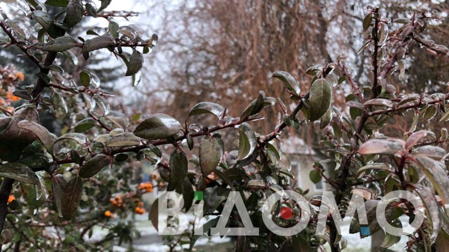 Дождь и мокрый снег: какой будет погода в Днепре и области 7 февраля