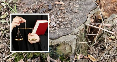 На Днепропетровщине ...