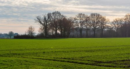 Государство вернуло себе заповедную землю в Днепропетровской области, которая была в незаконном владении