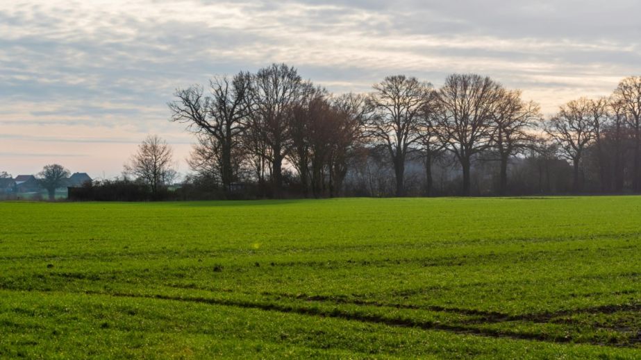 Государство вернуло себе заповедную землю в Днепропетровской области, которая была в незаконном владении