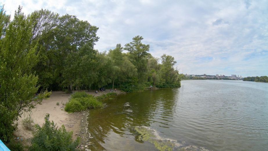 У Дніпрі на Перемозі біля води виявили мертву рибу та нутрію (ФОТО)