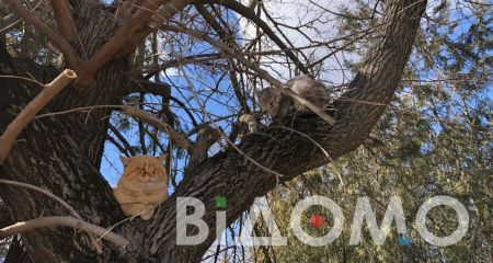 Якою буде погода у Дніпрі та області 21 березня