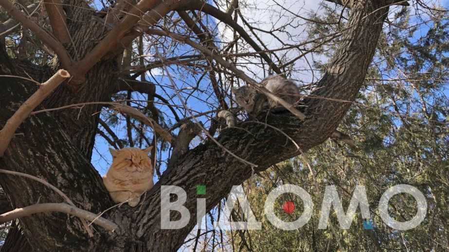 Якою буде погода у Дніпрі та області 21 березня