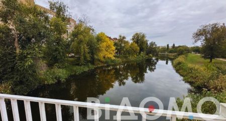 В Кривом Роге на рек...