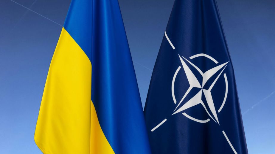 Прощай, НАТО: почему курса на Альянс не существует в реальности и чем его заменить